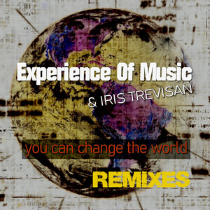 You Can Change the World (Remixes)