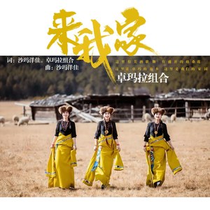来我家封面