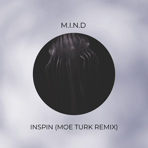 Inspin (Moe Turk Remix)