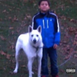 V33Z3 Flow (Explicit)