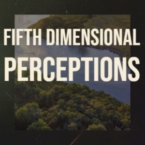 Fifth Dimensional Perceptions