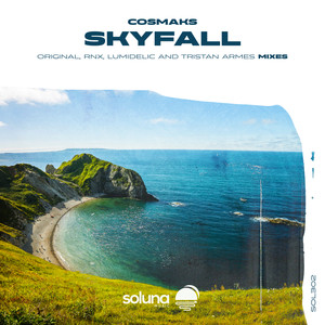 Skyfall (Tristan Armes Remix)