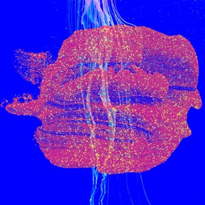 Discovering Feelings