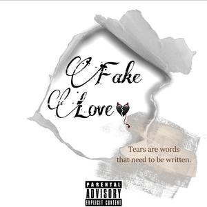 Fake Love (Explicit)