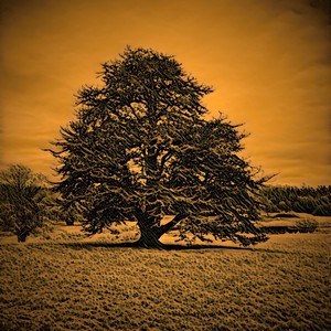 This Time Round (feat. Dylan Flynn)