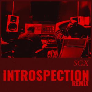 Introspection (feat. CHRIS DiViNE) (Explicit)