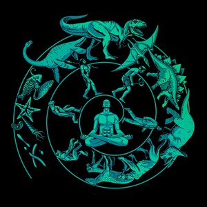 Протуберанцы