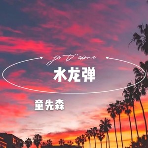 寻龙分金看缠山 (DJ版)