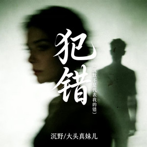 犯错（沉默不是代表我的错）