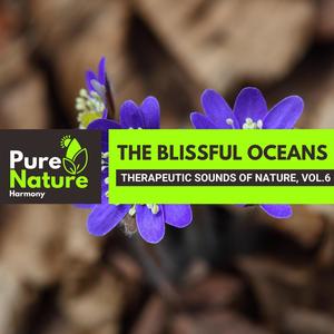 The Blissful Oceans - Therapeutic Sounds of Nature, Vol.6