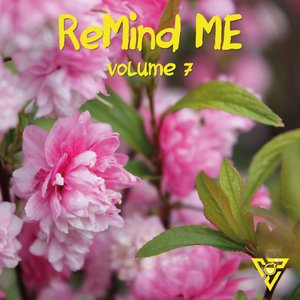 Remind Me, Vol. 7