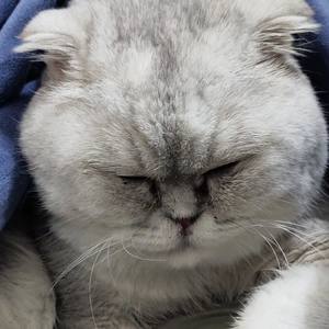 荆棘鸟 (杂乱pt.2)