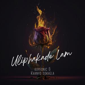 Uliphakade Lam (feat. Khanyo Sokhela)