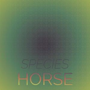 Species Horse