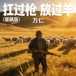 扛过枪 放过羊 (狂飙版)封面