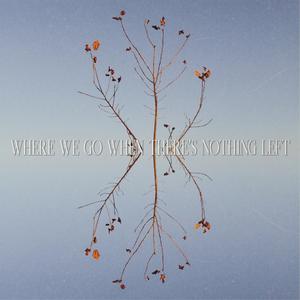 What If You Fly? (feat. glimmers)