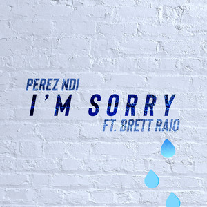 I'm Sorry (feat. Brett Raio)