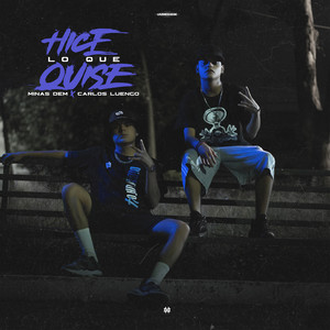 Hice Lo Que Quise (Explicit)