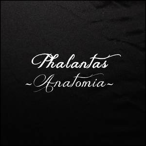 Anatomía (Explicit)