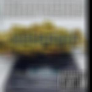 Storm (feat. Ez Money) (Explicit)