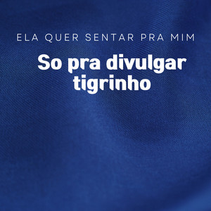 Ela quer sentar pra mim, So pra divulgar tigrinho (Explicit)