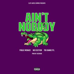 Ain't Nobody (feat. Neo Sectio & Tru Banks TFL) [Explicit]