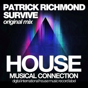 Survive (Instrumental Mix)