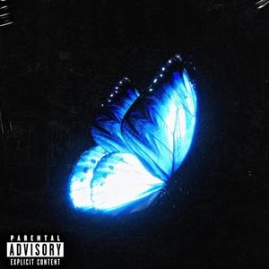 Butterflies Can't Fly If They're Cold (Explicit)