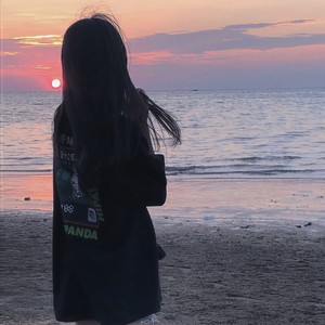 虎落平阳