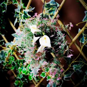 Antes de Falar (feat. QVXNO) (Explicit)