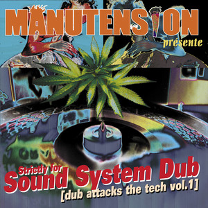 Strictly for Sound System Dub (Dub Attacks the Tech, Vol. 1)