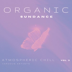 Discipline and Patience (Original Mix)