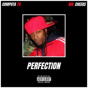 Perfection (feat. Mr. Cheeks|Explicit)