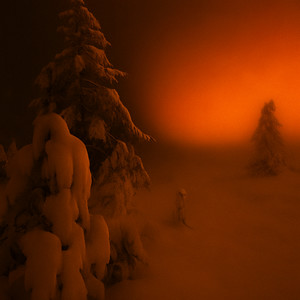 I Just Wanna Be Loved (Explicit)