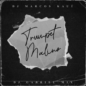 Trumpet Malino (feat. DJ Gabriel Mix)