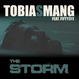 The Storm (feat. Fifty311) [Explicit]