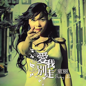 老情歌封面