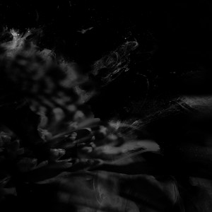 monochrome