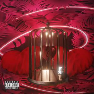 Me llamas (feat. NAPU) (Explicit)