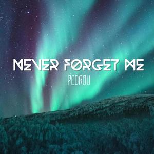 Never Forget Me