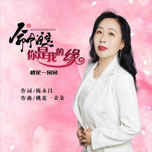 命中注定你是我的缘