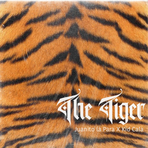 The Tiger