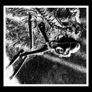 UNCALIBRATED EMOTION