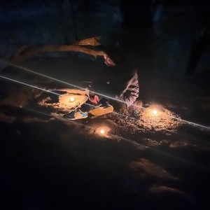 Passion N Pain (Explicit)