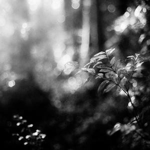 En El Ocaso Del Pensamiento (Demo)