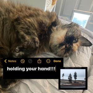 holding your and (h4c_edelic_mix16)