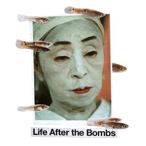 Life After the Bombs