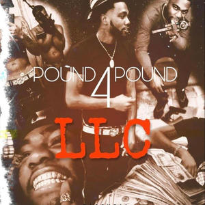 LLC Freestyle (Explicit)