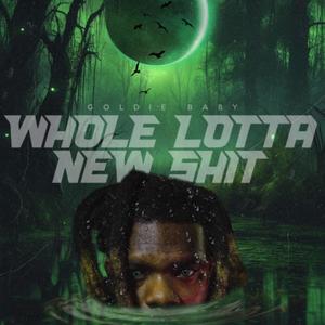 Whole Lotta New **** (Explicit)