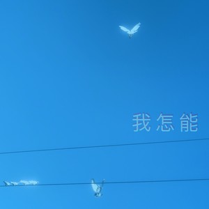 我怎能 (伴奏)